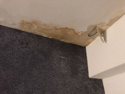 Professional black mold removal services in Kimball Junction - Black Mold Removal Kimball Junction